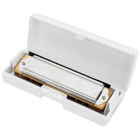 Tombo Folk Blues MKII G 1210G harmonica/mouthorgan
