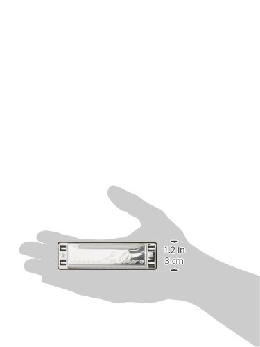 Lee Oskar Mouthorgan 1910B Harmonica Major B