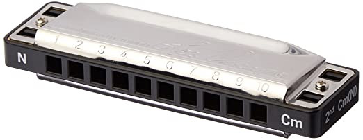 Lee Oskar Mouthorgan 1910NC Harmonica Natural Minor C