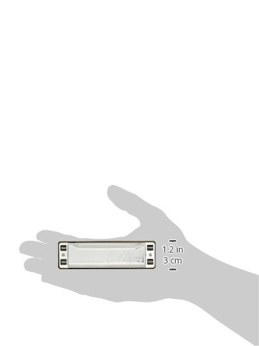 Lee Oskar Mouthorgan 1910NG Harmonica Natural Minor G