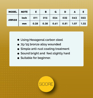 Score Acoustic Guitar String Set AW633