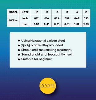 Score Acoustic Guitar String Set AW634