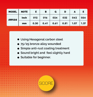 Score Acoustic Guitar String Set AW635