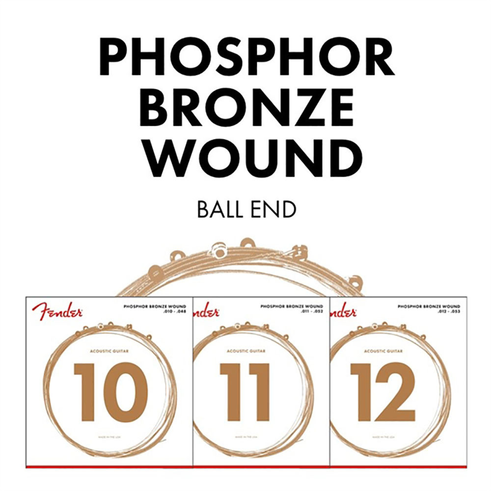 Fender 0730060402 Acoustic Guitar String Phosphor Bronze .010-.048 60XL