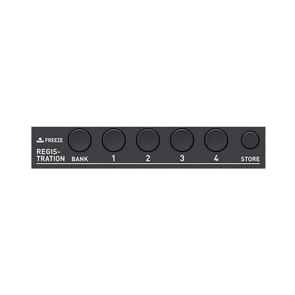 CASIO CT-X870IN Digital Portable Keyboard