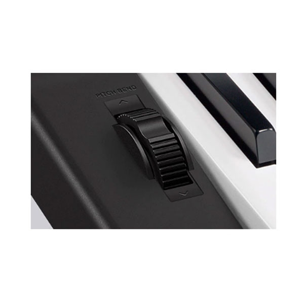 CASIO CT-X870IN Digital Portable Keyboard