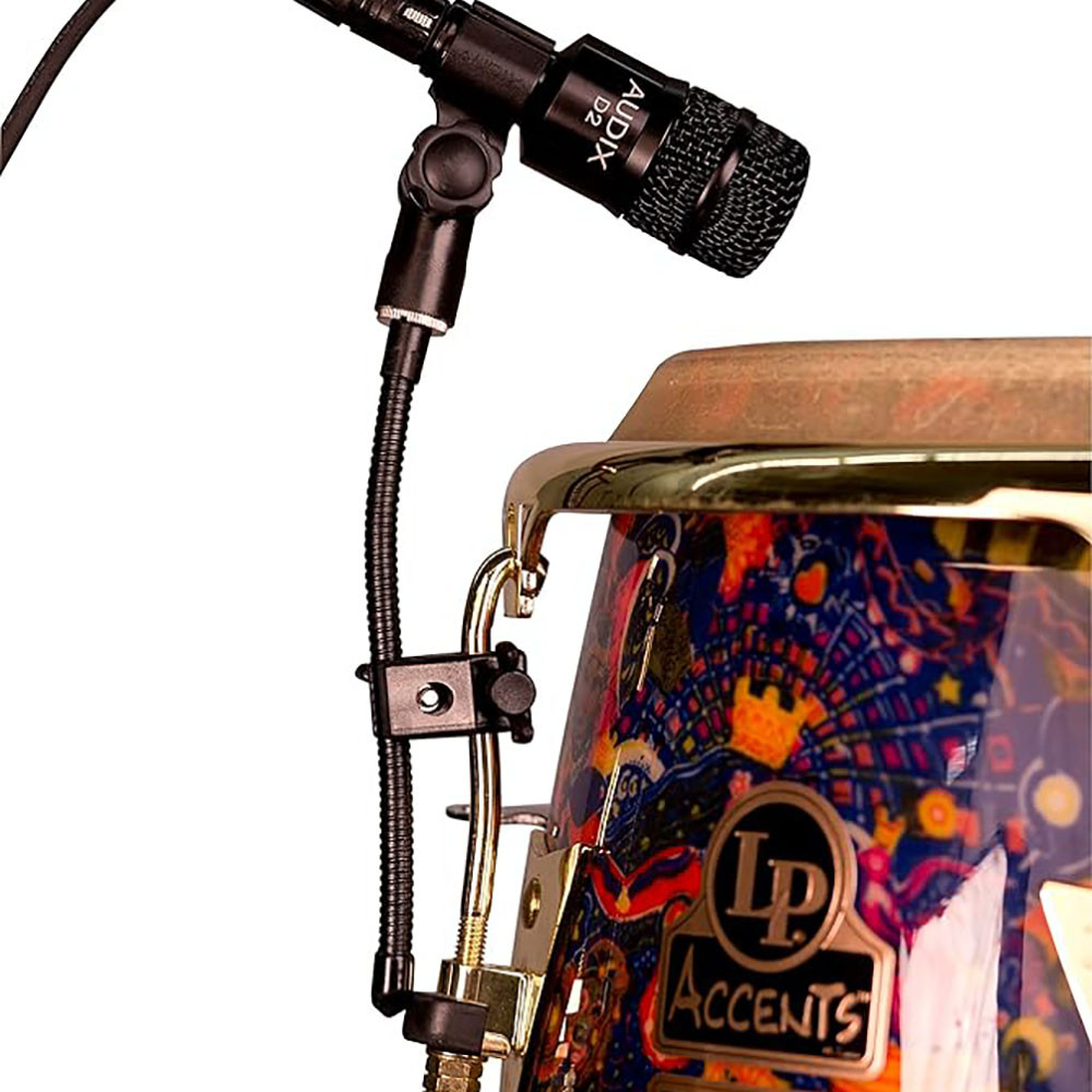 Audix D2 Instrument Microphone