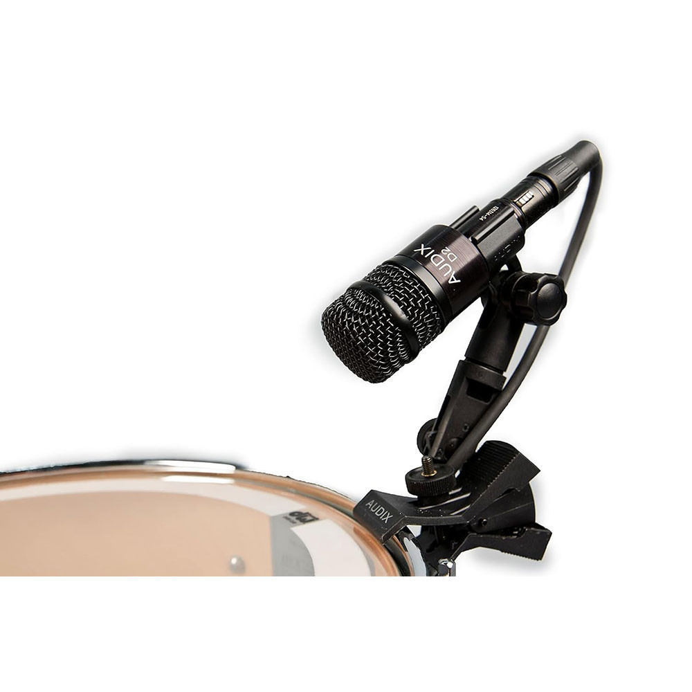 Audix D2 Instrument Microphone