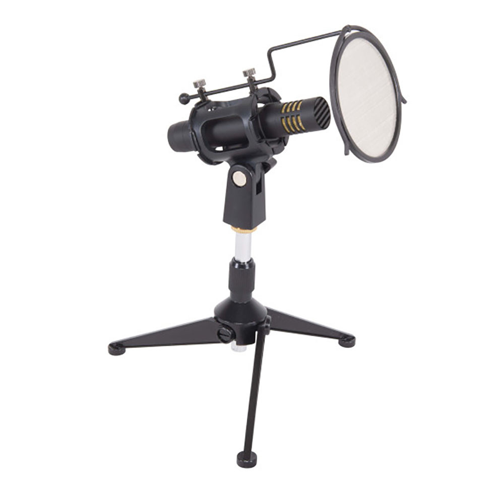 Eikon CM150 Professional Condensor Microphone