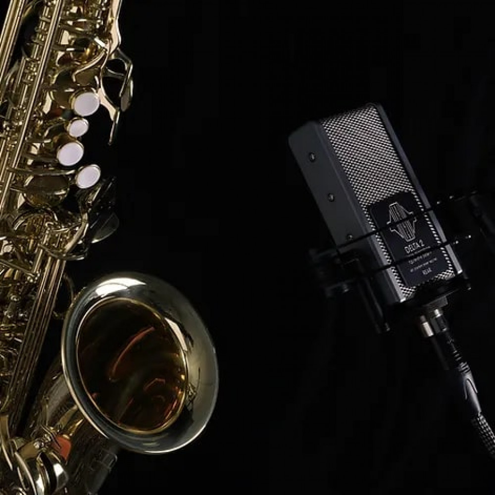 Sontronics DELTA 2 Rugged Ribbon Microphone