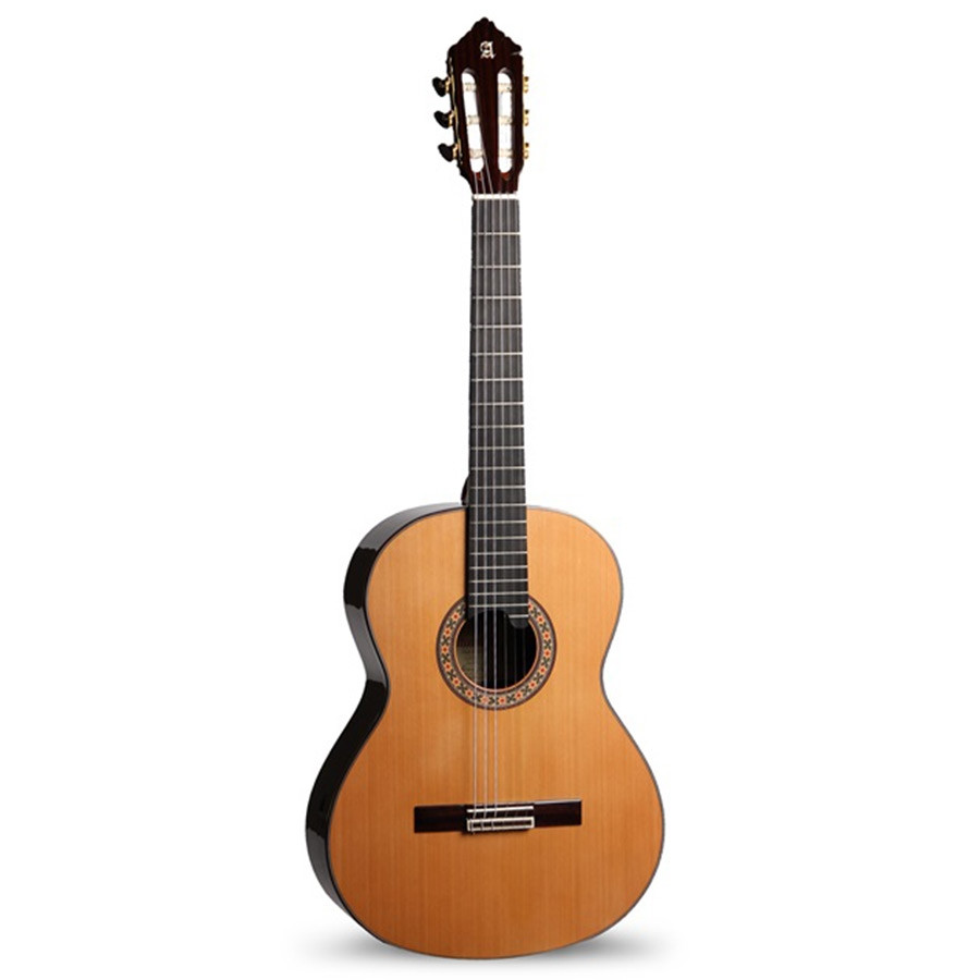 Alhambra 10P Natural Classical Guitar with Fibre Case
