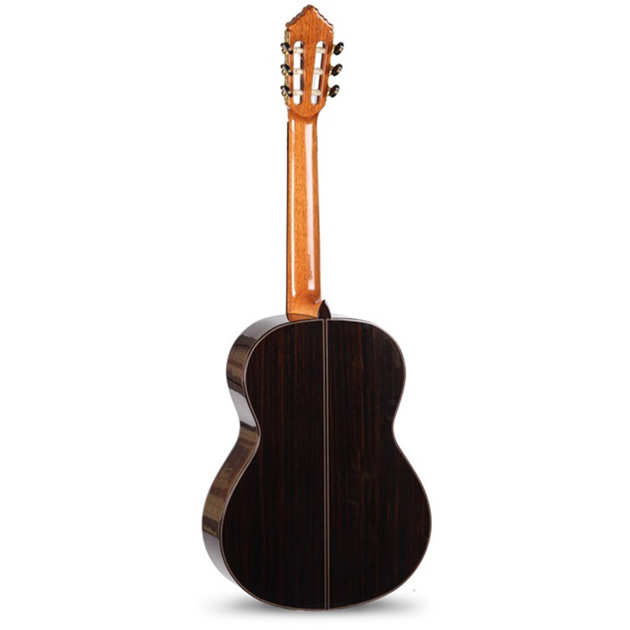 Alhambra 10P Natural Classical Guitar with Fibre Case