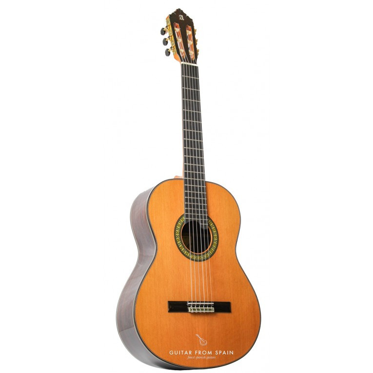 Alhambra 11P Natural Classical Guitar with Fibre Case