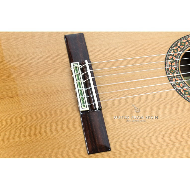 Alhambra 8P Ebony Rosewood Nylon-string Classical Guitar with Cedar Top Natural Classical Guitar