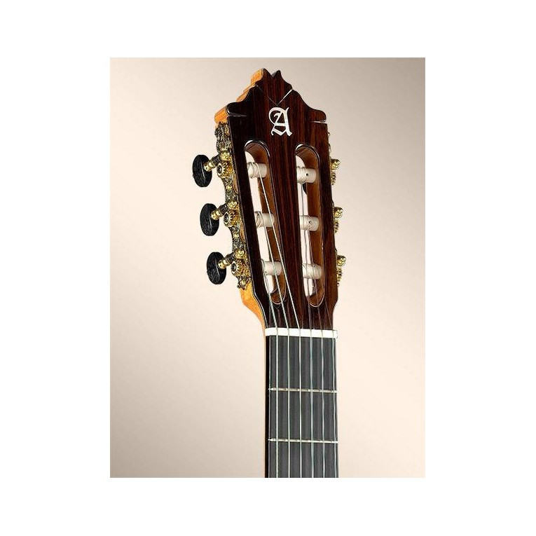 Alhambra 9P Ebony Rosewood Nylon-string Classical Guitar with Cedar Top Natural Classical Guitar