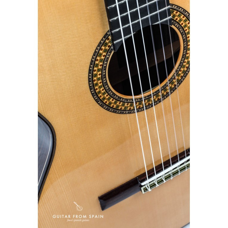Alhambra 9P Ebony Rosewood Nylon-string Classical Guitar with Cedar Top Natural Classical Guitar