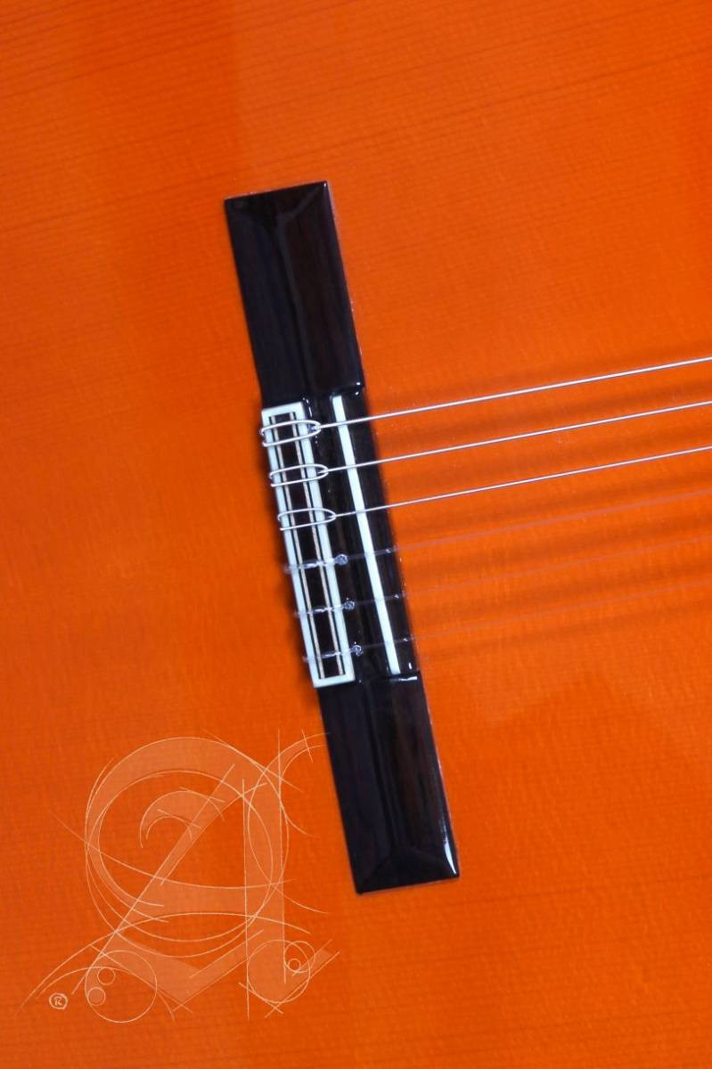 Alhambra 4F Mahogany Rosewood Nylon-String with Cedar Top Pure Flamenco