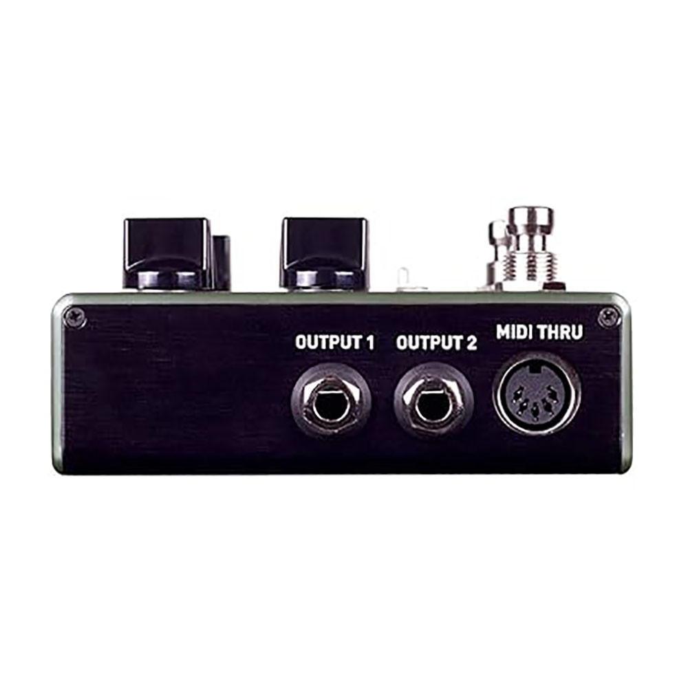 Source Audio Ventris Dual Reverb Pedal