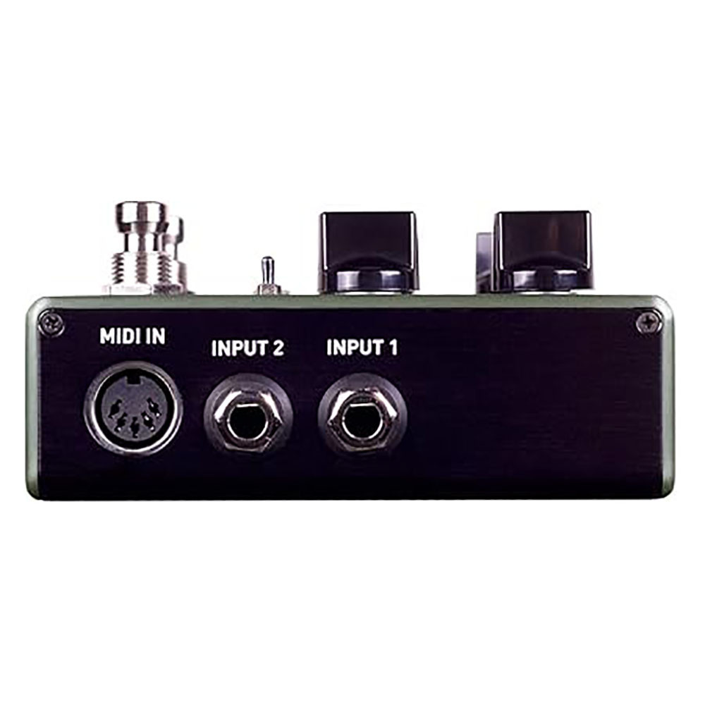 Source Audio Ventris Dual Reverb Pedal