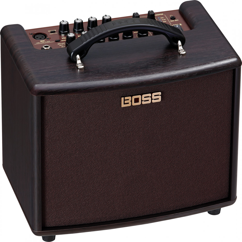 Roland AC-22LX Acoustic Amplifier