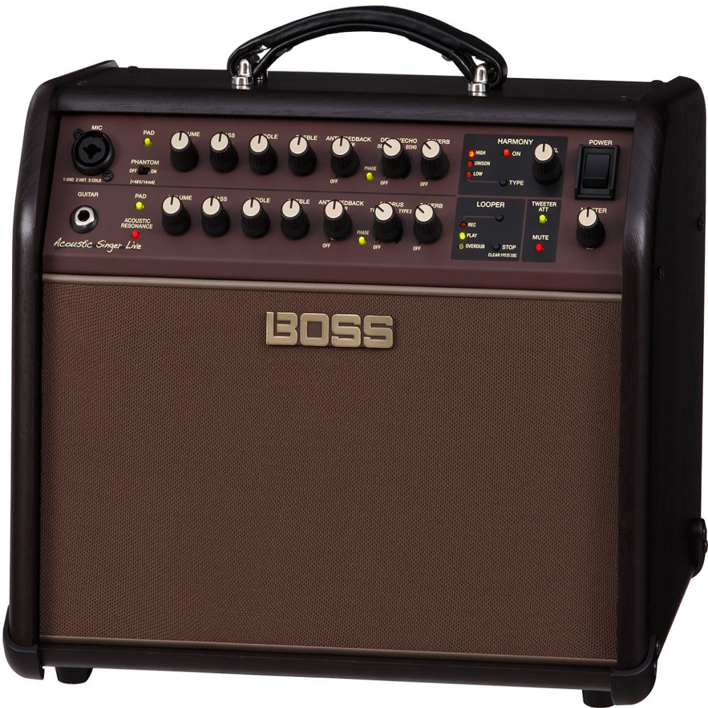 Roland ACS-LIVE Acoustic Singer Live Guitar Amplifier