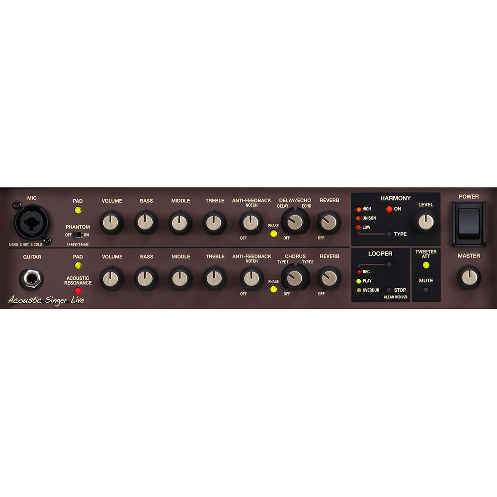 Roland ACS-LIVE Acoustic Singer Live Guitar Amplifier