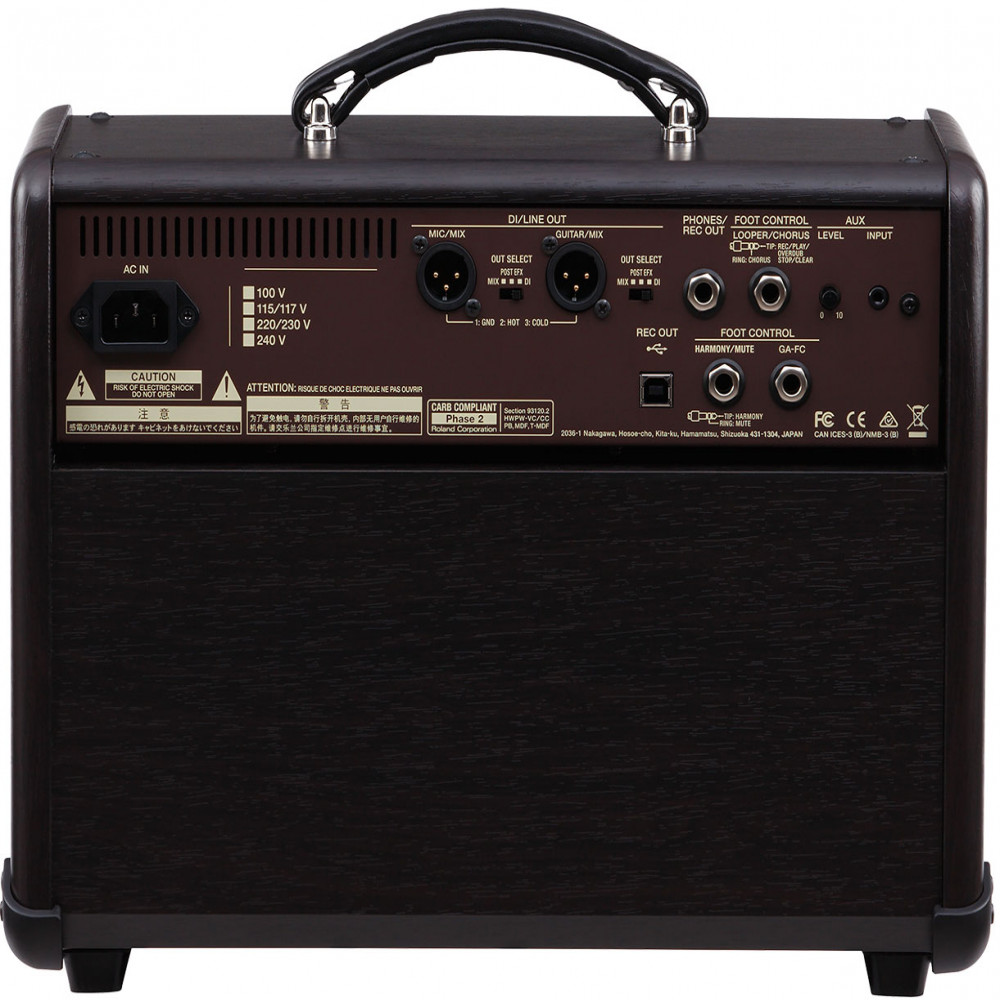 Roland ACS-LIVE Acoustic Singer Live Guitar Amplifier