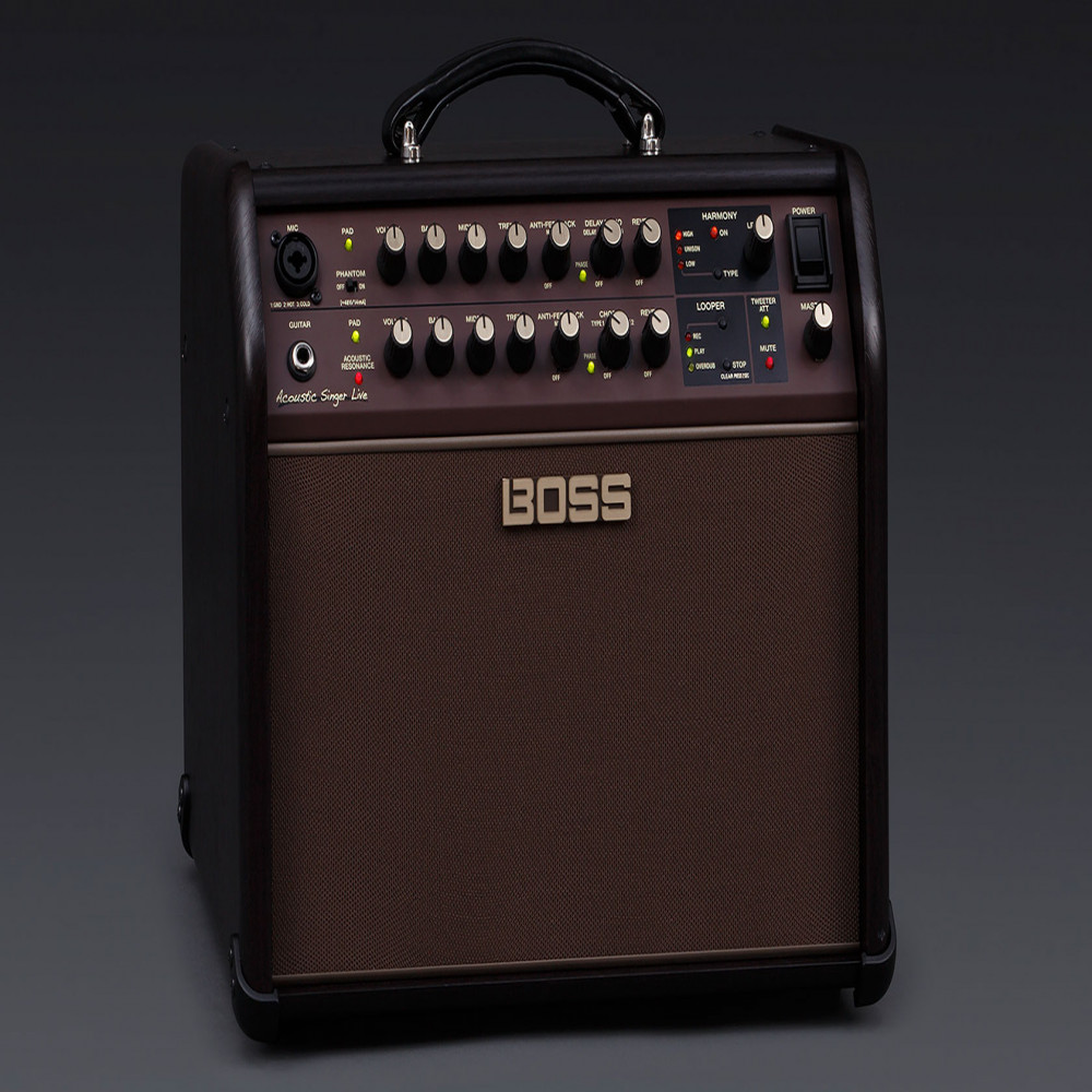 Roland ACS-LIVE Acoustic Singer Live Guitar Amplifier