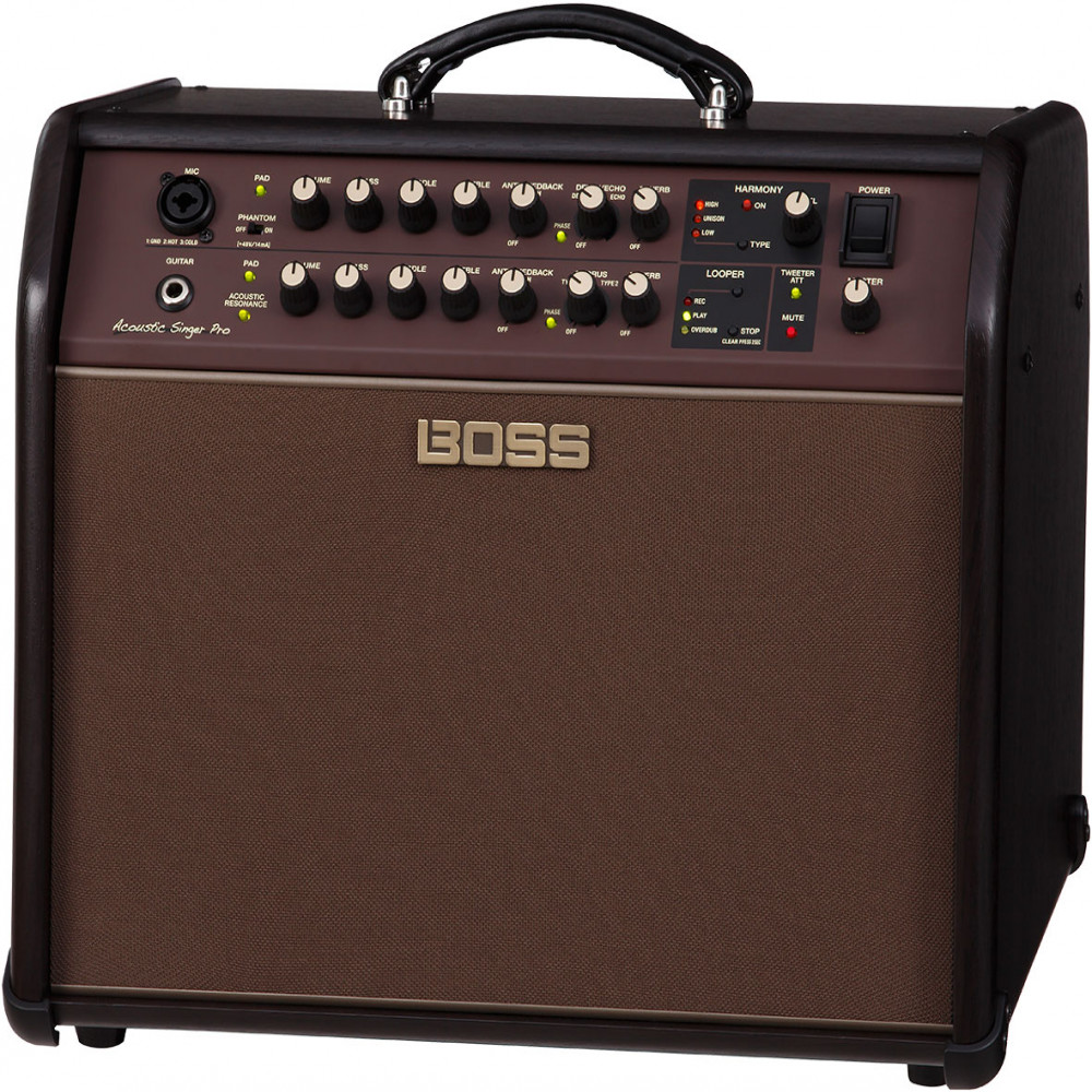 Roland ACS-PRO Acoustic Singer Pro Guitar Amplifier