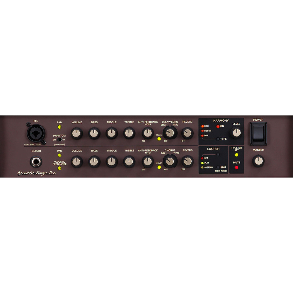 Roland ACS-PRO Acoustic Singer Pro Guitar Amplifier