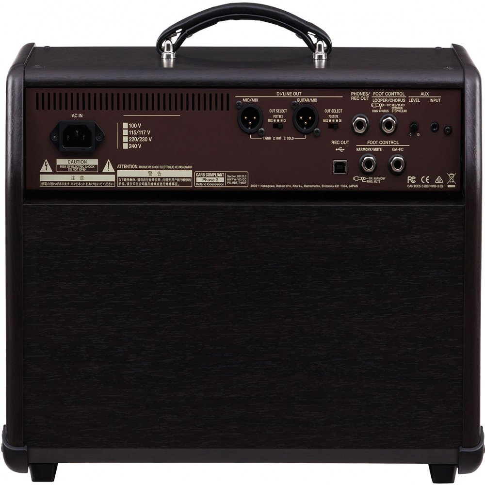 Roland ACS-PRO Acoustic Singer Pro Guitar Amplifier