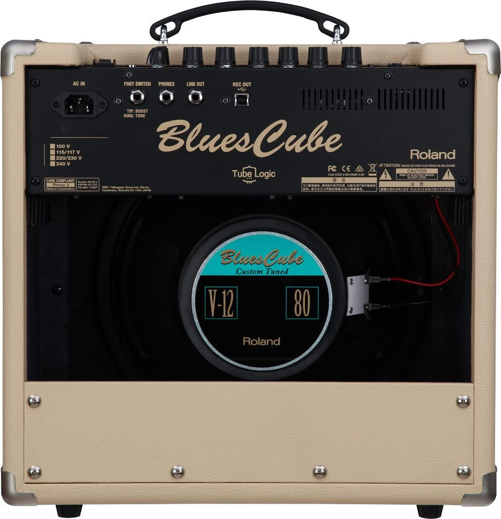 Roland BC-STAGE Blues Cube Stage Guitar Amplifier