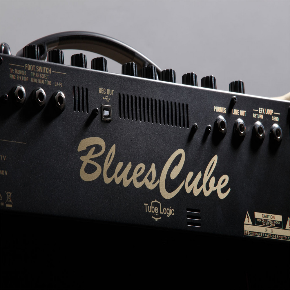 Roland BC-ARTIST Blues Cube Artist Guitar Amplifier