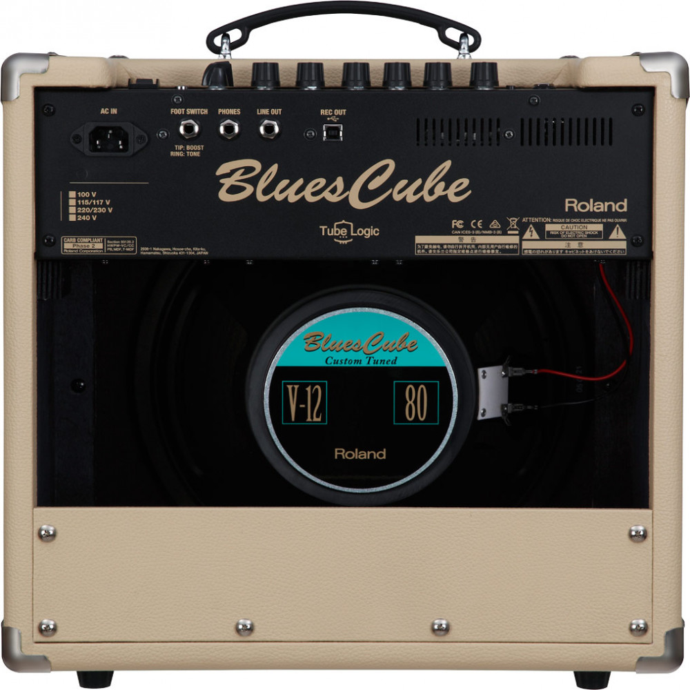 Roland BC-HOT-VB Guitar Amplifier