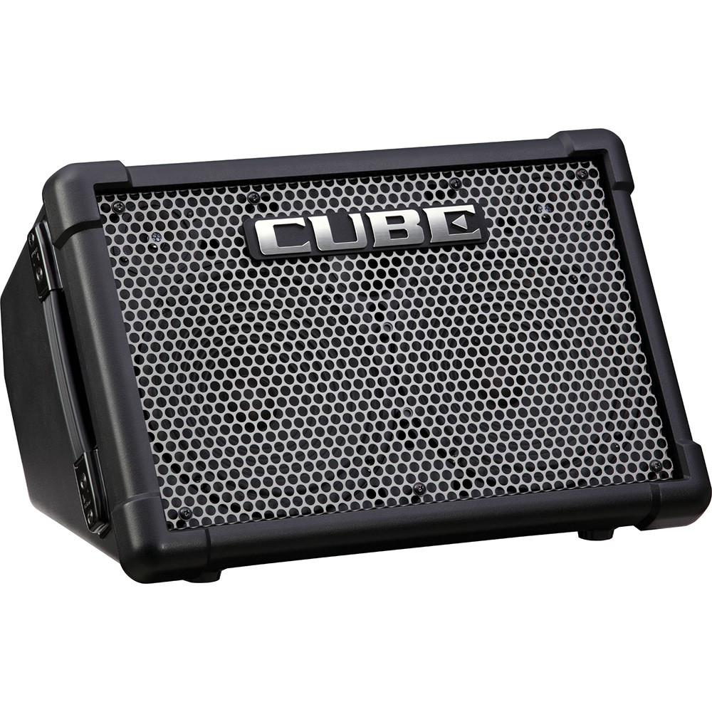 Roland CUBE-STEX Battery-Powered Stereo Amplifier