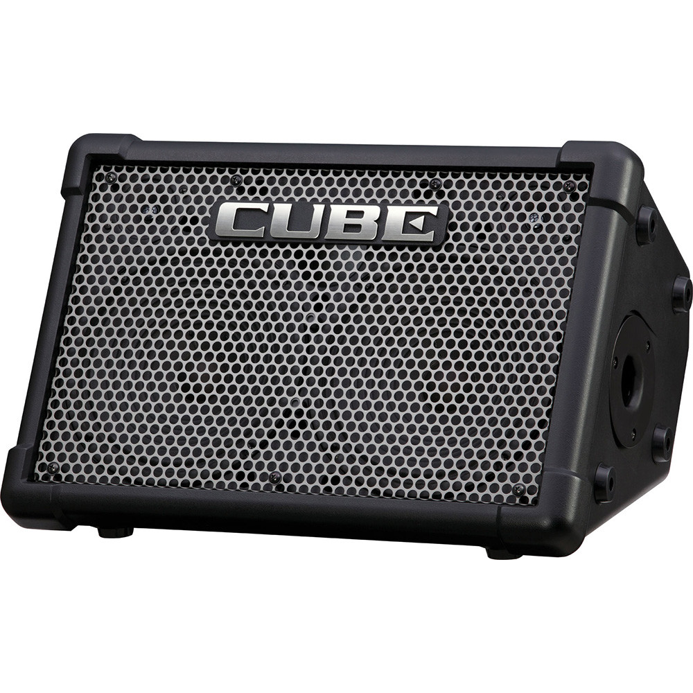 Roland CUBE-STEX Battery-Powered Stereo Amplifier