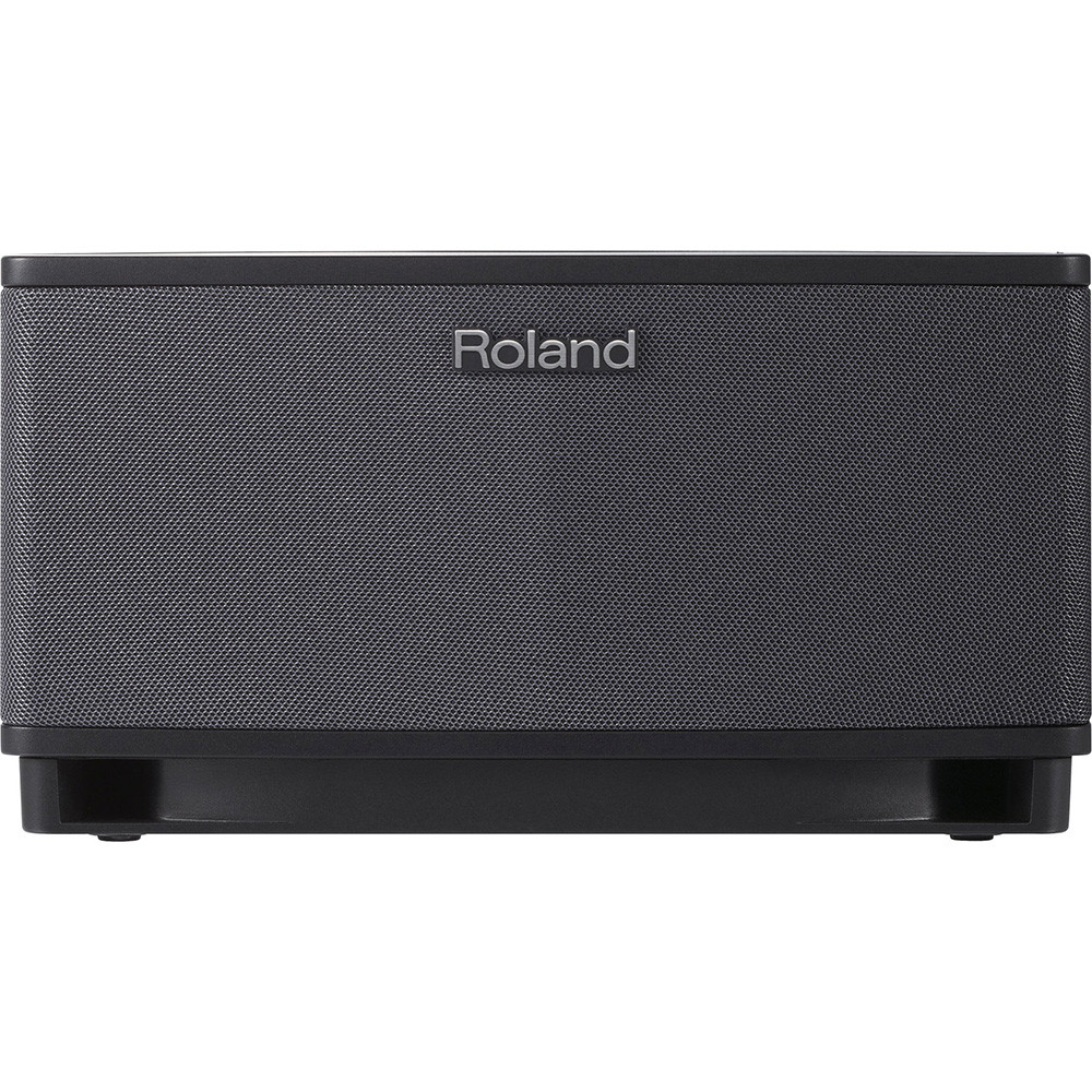 Roland CUBE-LT-BK Lite Black Guitar Amplifier