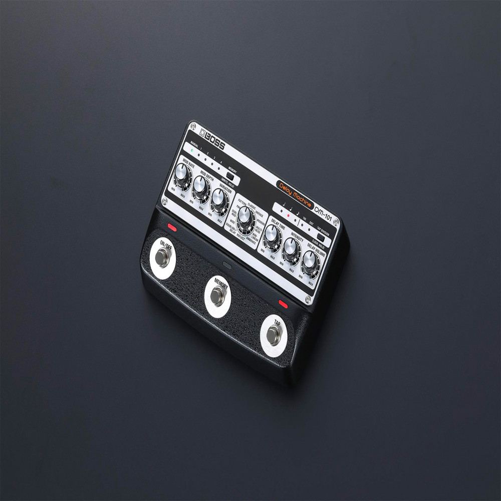 Roland DM-101 Analog Delay Machine