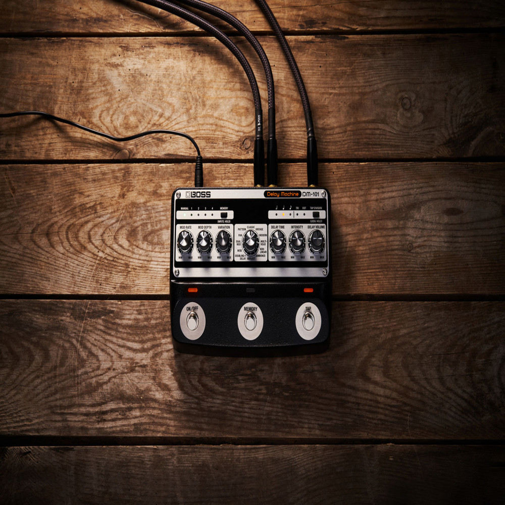 Roland DM-101 Analog Delay Machine