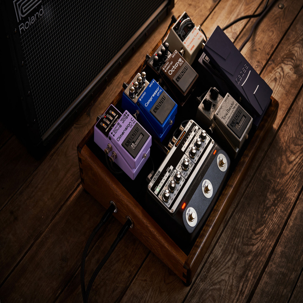 Roland DM-101 Analog Delay Machine