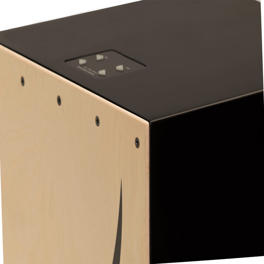 Roland EC-10 Electronic Layered Cajon