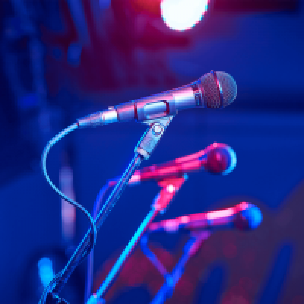 Audio Technica ATM510 Cardioid Handheld Dynamic Microphone