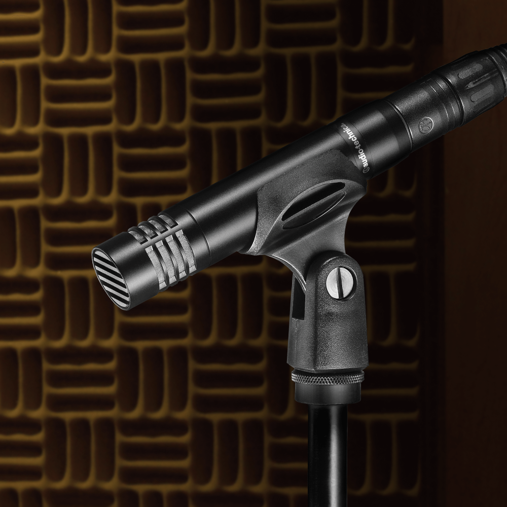 Audio Technica AT2021 Cardioid Condenser Microphone