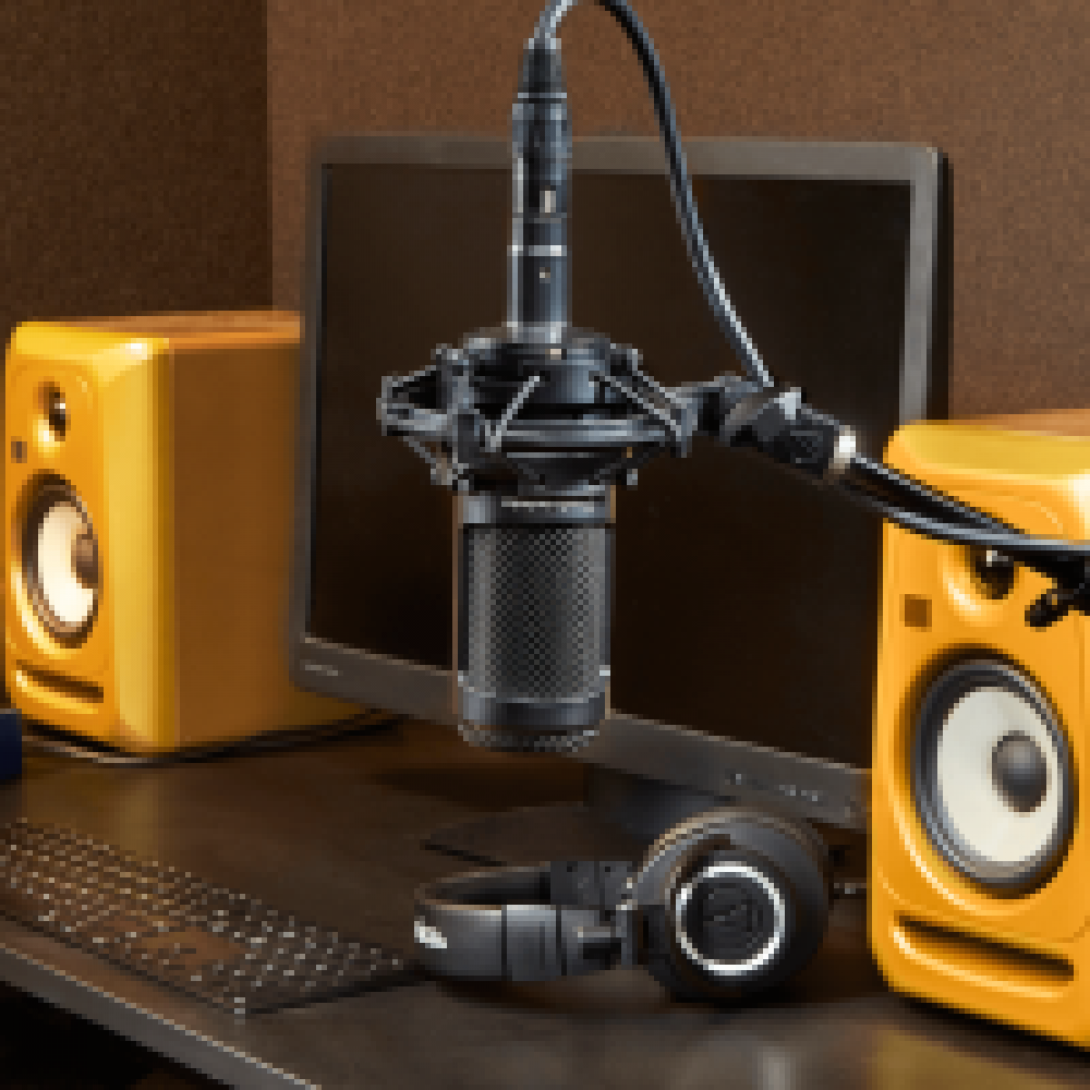 Audio Technica AT2050/T Multi-pattern Condenser Microphone