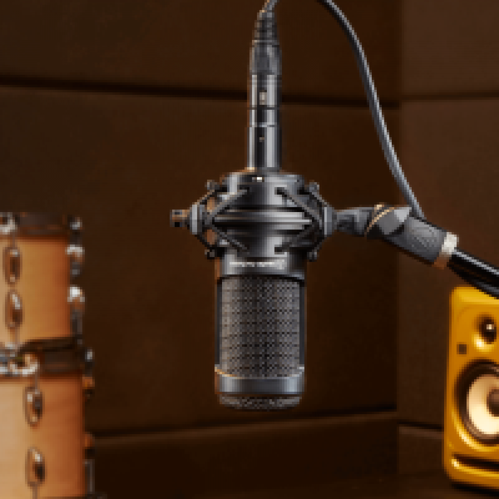 Audio Technica AT2050/T Multi-pattern Condenser Microphone