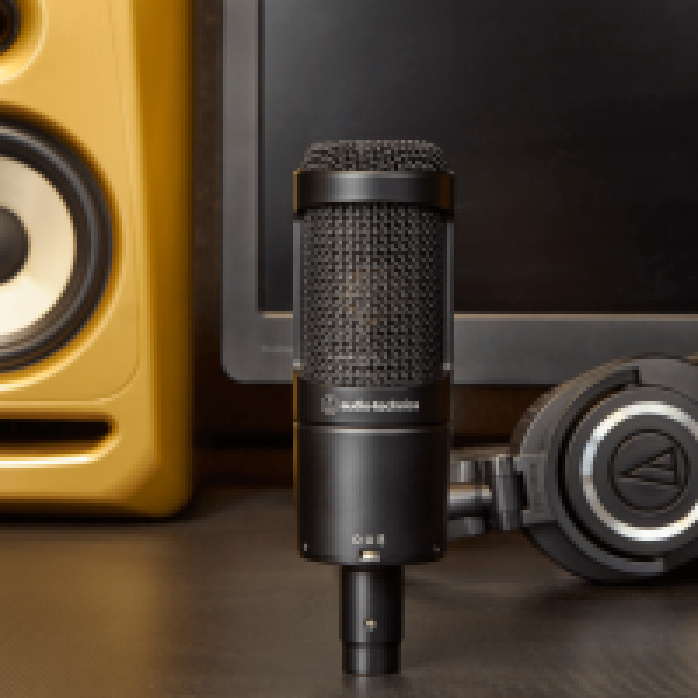 Audio Technica AT2050/T Multi-pattern Condenser Microphone
