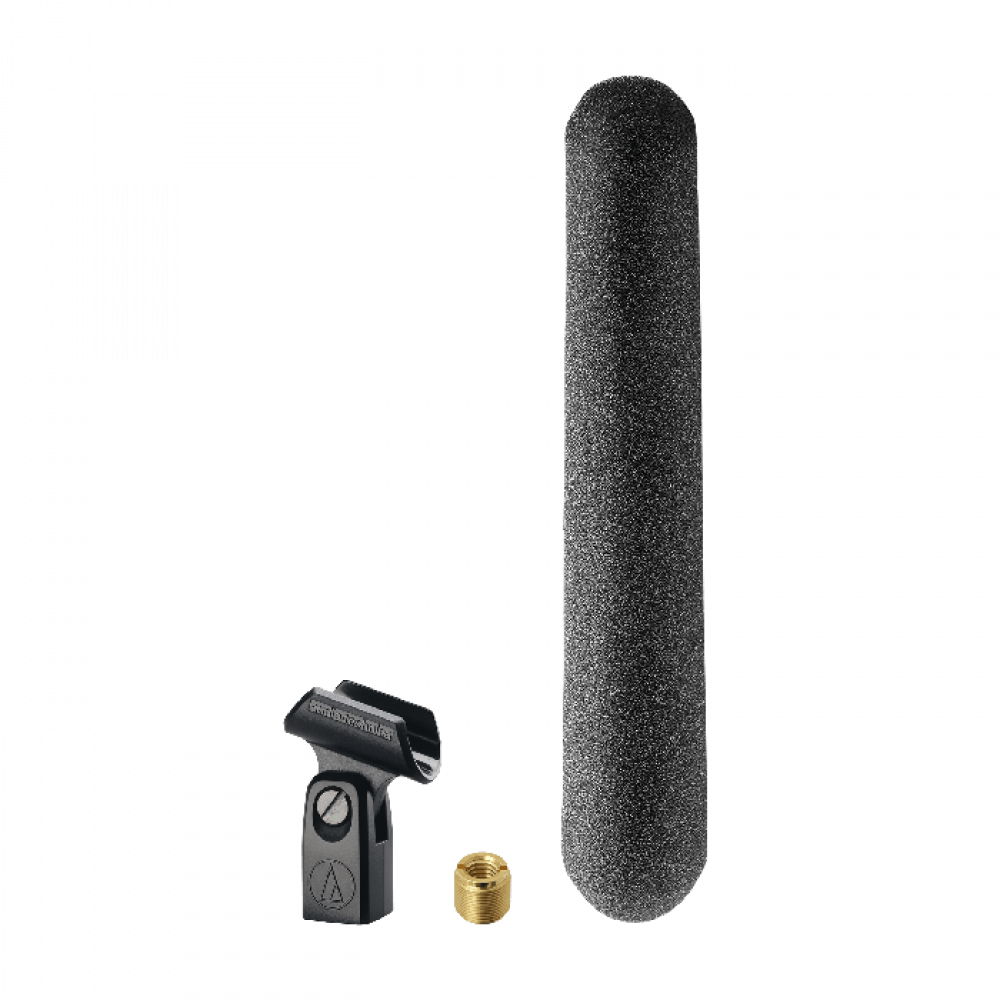 Audio Technica BP4071 Line + Gradient Condenser Microphone