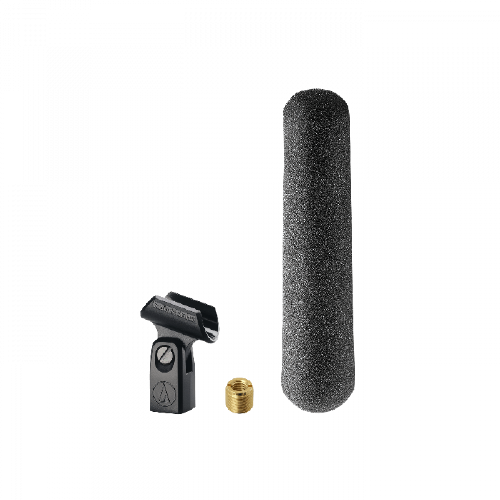 Audio Technica BP4073 Line + Gradient Condenser Microphone