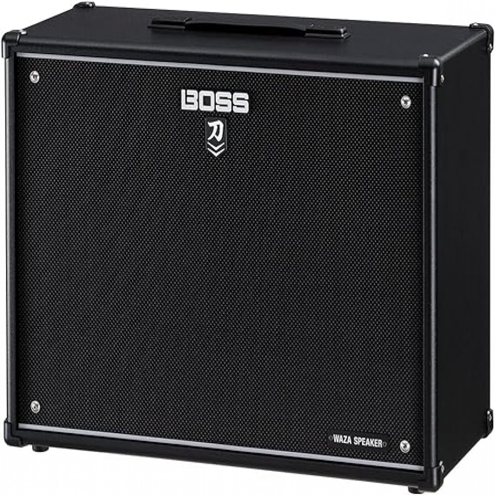 Roland KTN-C212W Box Speaker for Guitar