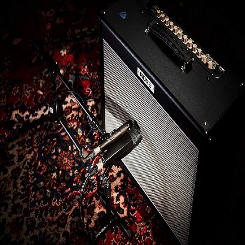 Roland NEX-ARTIST Nextone Artist 80 Watt 1x12 Inch Combo